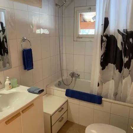 Les Hivernants Apartment *