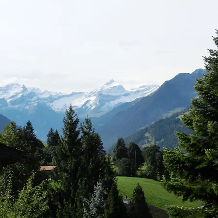 Les Hivernants * Gstaad