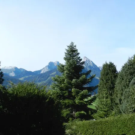 Les Hivernants - 1- Stock Rechts By Interhome アパート グスタード