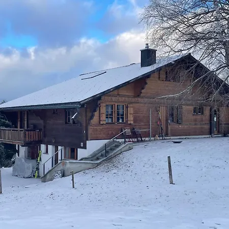 Appartamento Hivernants Le Premier By Interhome Gstaad