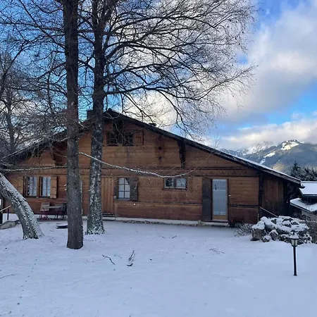Appartamento Hivernants Le Premier By Interhome Gstaad