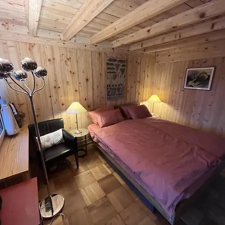 Hivernants Le Premier By Interhome Appartamento *