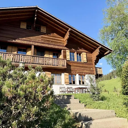 Hivernants Le Premier By Interhome Apartamento Gstaad
