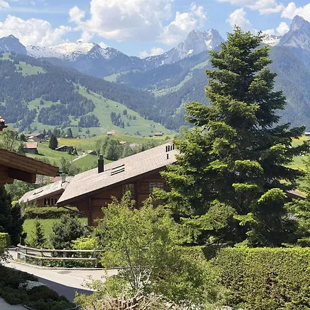 Hivernants Le Premier By Interhome Appartamento Gstaad