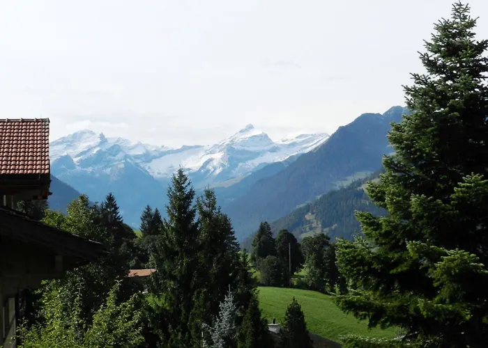 Hivernants Le Premier By Interhome * Gstaad