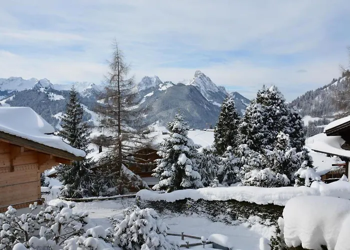 Hivernants Le Premier By Interhome *