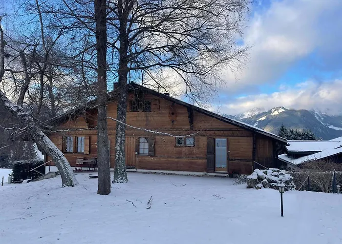 Apartman Hivernants Le Premier By Interhome Gstaad