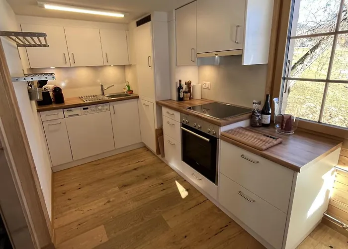 Hivernants Le Premier By Interhome Gstaad