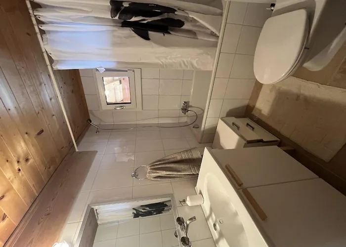 Apartman Hivernants Le Premier By Interhome Gstaad