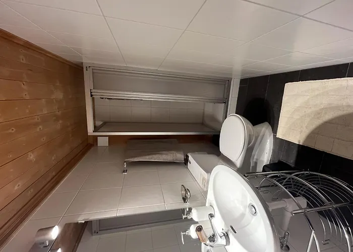 Hivernants Le Premier By Interhome Apartman Gstaad