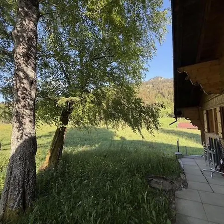 Hivernants Le Premier By Interhome Daire Gstaad