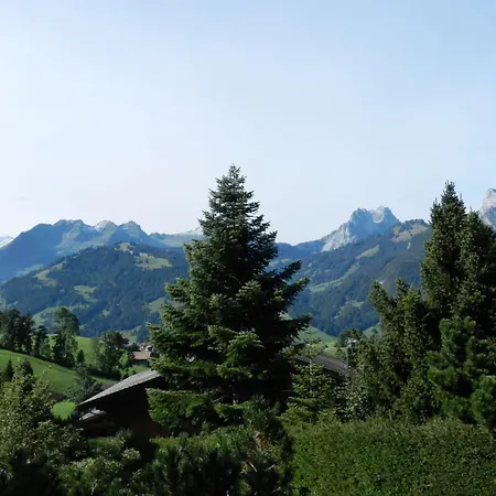 Les Hivernants - 1- Stock Rechts By Interhome Gstaad